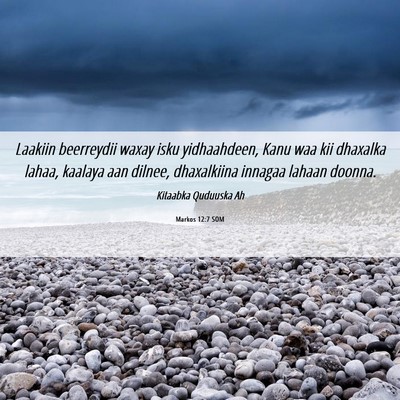 Picture 06 - Markos 12:7 SOM - Laakiin beerreydii waxay isku yidhaahdeen, Kanu - Bible Verse Picture