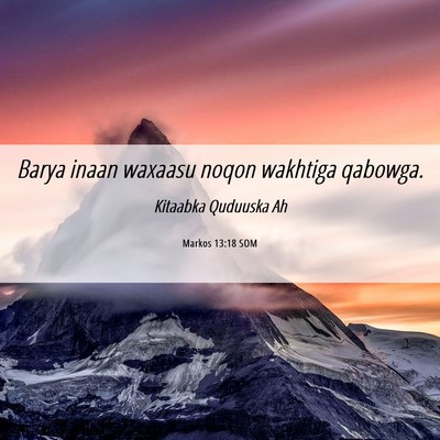 Picture 06 - Markos 13:18 SOM - Barya inaan waxaasu noqon wakhtiga - Bible Verse Picture