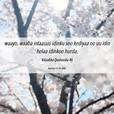 Picture 06 - Markos 13:36 SOM - waayo, waaba intaasuu idinku soo kediyaa oo uu - Bible Verse Picture