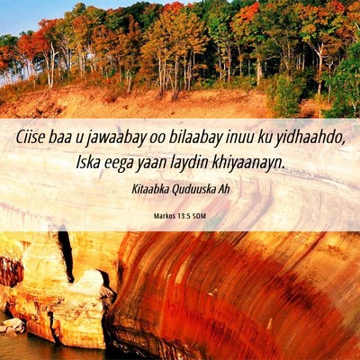 Picture 06 - Markos 13:5 SOM - Ciise baa u jawaabay oo bilaabay inuu ku - Bible Verse Picture