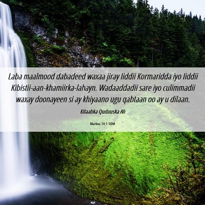 Picture 06 - Markos 14:1 SOM - Laba maalmood dabadeed waxaa jiray Iiddii - Bible Verse Picture