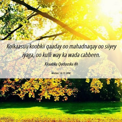 Picture 06 - Markos 14:23 SOM - Kolkaasuu koobkii qaaday oo mahadnaqay oo siiyey - Bible Verse Picture