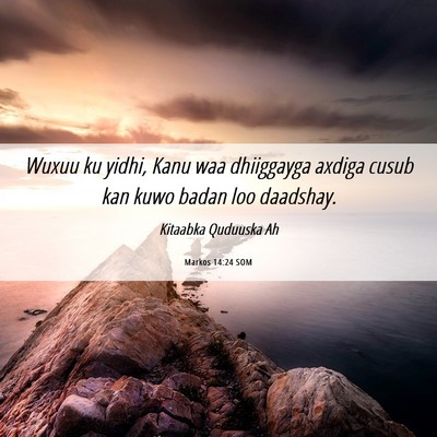 Picture 06 - Markos 14:24 SOM - Wuxuu ku yidhi, Kanu waa dhiiggayga axdiga cusub - Bible Verse Picture