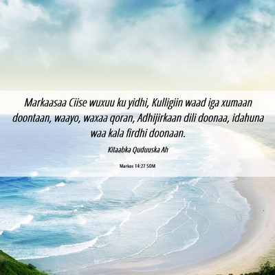 Picture 06 - Markos 14:27 SOM - Markaasaa Ciise wuxuu ku yidhi, Kulligiin waad - Bible Verse Picture