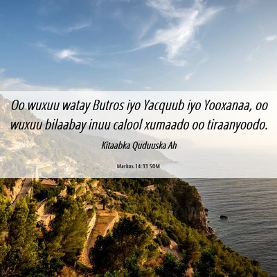Picture 06 - Markos 14:33 SOM - Oo wuxuu watay Butros iyo Yacquub iyo Yooxanaa, - Bible Verse Picture