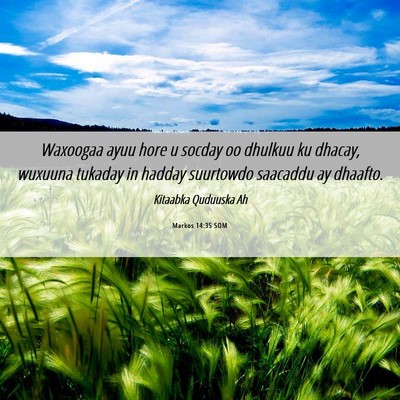 Picture 06 - Markos 14:35 SOM - Waxoogaa ayuu hore u socday oo dhulkuu ku dhacay, - Bible Verse Picture