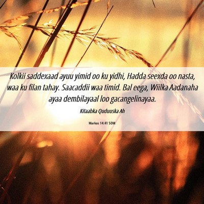 Picture 06 - Markos 14:41 SOM - Kolkii saddexaad ayuu yimid oo ku yidhi, Hadda - Bible Verse Picture