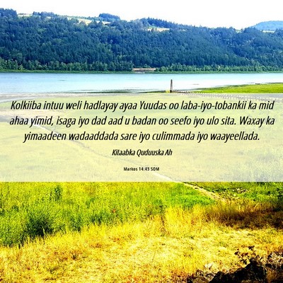 Picture 06 - Markos 14:43 SOM - Kolkiiba intuu weli hadlayay ayaa Yuudas oo - Bible Verse Picture
