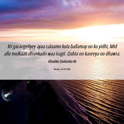 Picture 06 - Markos 14:44 SOM - Kii gacangeliyey ayaa calaamo kula ballamay oo ku - Bible Verse Picture