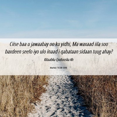 Picture 06 - Markos 14:48 SOM - Ciise baa u jawaabay oo ku yidhi, Ma waxaad iila - Bible Verse Picture