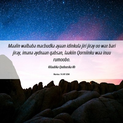 Picture 06 - Markos 14:49 SOM - Maalin walbaba macbudka ayaan idinkula jiri jiray - Bible Verse Picture