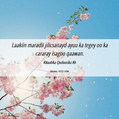 Picture 06 - Markos 14:52 SOM - Laakiin maradii jilicsanayd ayuu ka tegey oo ka - Bible Verse Picture
