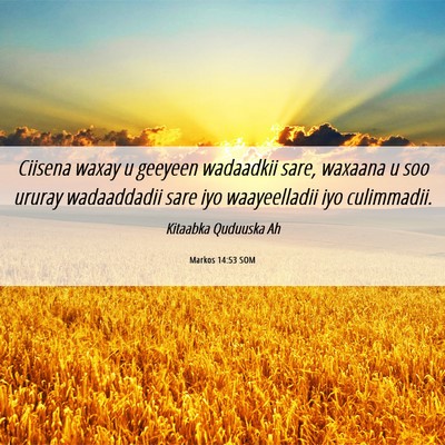 Picture 06 - Markos 14:53 SOM - Ciisena waxay u geeyeen wadaadkii sare, waxaana u - Bible Verse Picture
