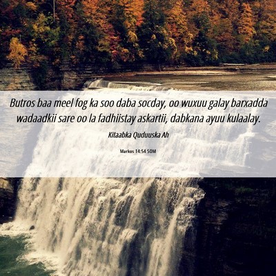 Picture 06 - Markos 14:54 SOM - Butros baa meel fog ka soo daba socday, oo wuxuu - Bible Verse Picture