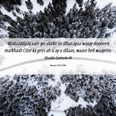 Picture 06 - Markos 14:55 SOM - Wadaaddadii sare iyo shirkii oo dhan ayaa waxay - Bible Verse Picture