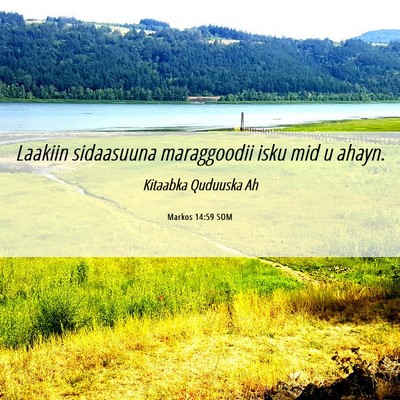 Picture 06 - Markos 14:59 SOM - Laakiin sidaasuuna maraggoodii isku mid u - Bible Verse Picture
