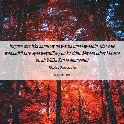 Picture 06 - Markos 14:61 SOM - Isaguse waa iska aamusay oo waxba uma jawaabin. - Bible Verse Picture