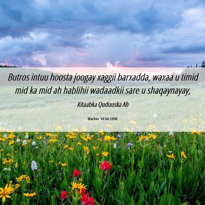 Picture 06 - Markos 14:66 SOM - Butros intuu hoosta joogay xaggii barxadda, waxaa - Bible Verse Picture