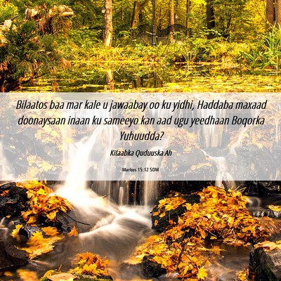 Picture 06 - Markos 15:12 SOM - Bilaatos baa mar kale u jawaabay oo ku yidhi, - Bible Verse Picture