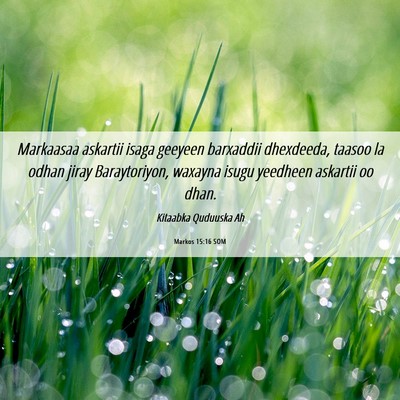 Picture 06 - Markos 15:16 SOM - Markaasaa askartii isaga geeyeen barxaddii - Bible Verse Picture