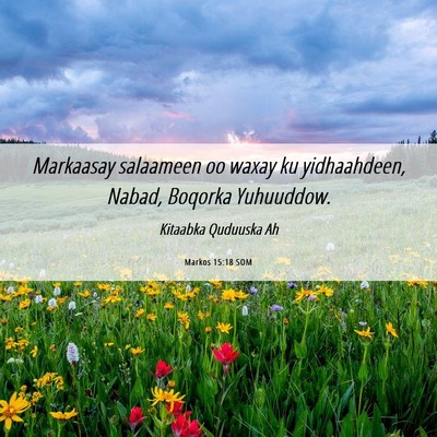 Picture 06 - Markos 15:18 SOM - Markaasay salaameen oo waxay ku yidhaahdeen, - Bible Verse Picture