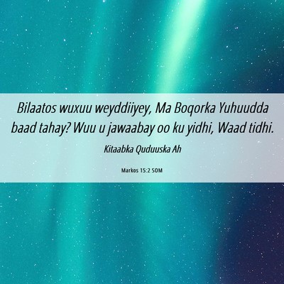 Picture 06 - Markos 15:2 SOM - Bilaatos wuxuu weyddiiyey, Ma Boqorka Yuhuudda - Bible Verse Picture