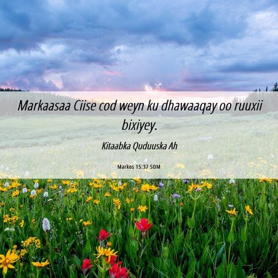 Picture 06 - Markos 15:37 SOM - Markaasaa Ciise cod weyn ku dhawaaqay oo ruuxii - Bible Verse Picture