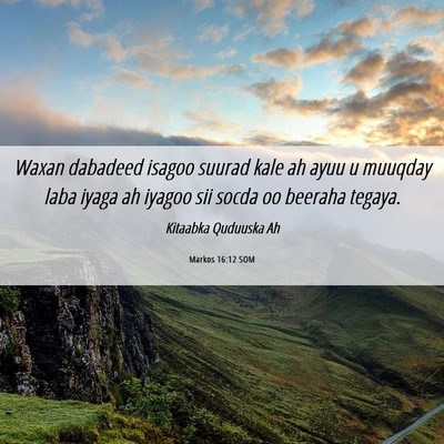 Picture 06 - Markos 16:12 SOM - Waxan dabadeed isagoo suurad kale ah ayuu u - Bible Verse Picture