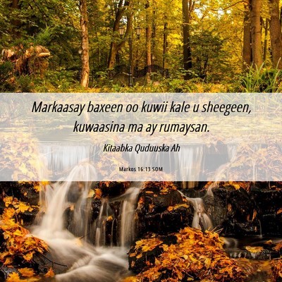 Picture 06 - Markos 16:13 SOM - Markaasay baxeen oo kuwii kale u sheegeen, - Bible Verse Picture