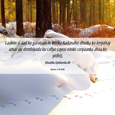 Picture 06 - Markos 2:10 SOM - Laakiin si aad ku garataan in Wiilka Aadanahu - Bible Verse Picture