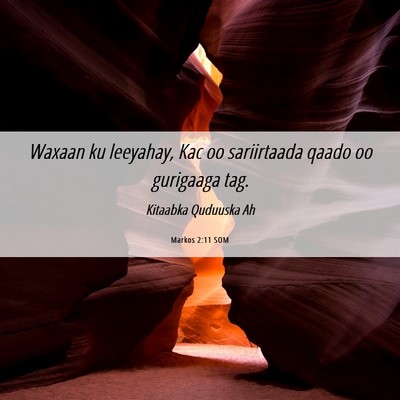 Picture 06 - Markos 2:11 SOM - Waxaan ku leeyahay, Kac oo sariirtaada qaado oo - Bible Verse Picture