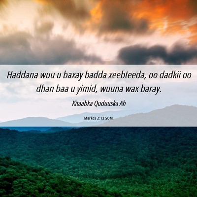 Picture 06 - Markos 2:13 SOM - Haddana wuu u baxay badda xeebteeda, oo dadkii oo - Bible Verse Picture