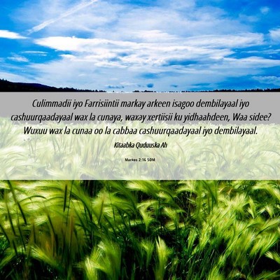 Picture 06 - Markos 2:16 SOM - Culimmadii iyo Farrisiintii markay arkeen isagoo - Bible Verse Picture