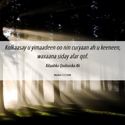 Picture 06 - Markos 2:3 SOM - Kolkaasay u yimaadeen oo nin curyaan ah u - Bible Verse Picture