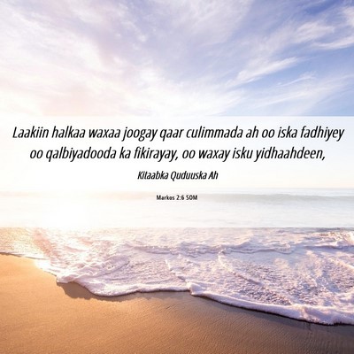 Picture 06 - Markos 2:6 SOM - Laakiin halkaa waxaa joogay qaar culimmada ah oo - Bible Verse Picture