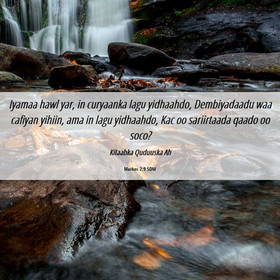 Picture 06 - Markos 2:9 SOM - Iyamaa hawl yar, in curyaanka lagu yidhaahdo, - Bible Verse Picture