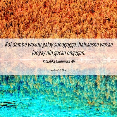 Picture 06 - Markos 3:1 SOM - Kol dambe wuxuu galay sunagogga; halkaasna waxaa - Bible Verse Picture