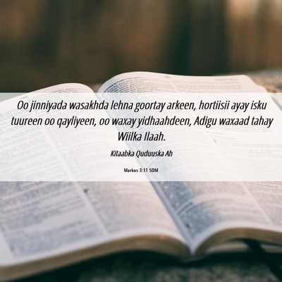 Picture 06 - Markos 3:11 SOM - Oo jinniyada wasakhda lehna goortay arkeen, - Bible Verse Picture