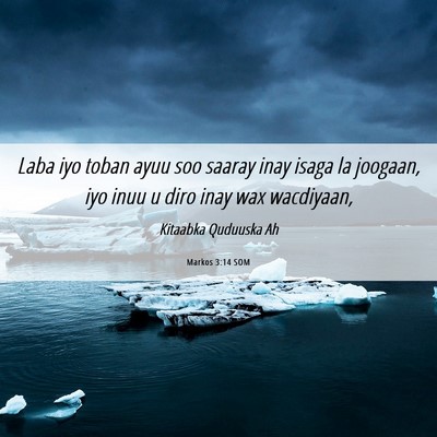 Picture 06 - Markos 3:14 SOM - Laba iyo toban ayuu soo saaray inay isaga la - Bible Verse Picture