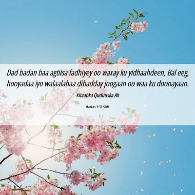 Picture 06 - Markos 3:32 SOM - Dad badan baa agtiisa fadhiyey oo waxay ku - Bible Verse Picture