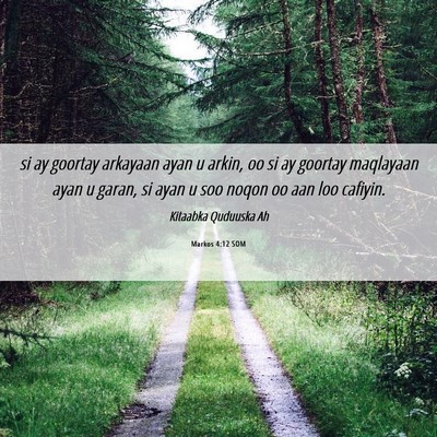 Picture 06 - Markos 4:12 SOM - si ay goortay arkayaan ayan u arkin, oo si ay - Bible Verse Picture
