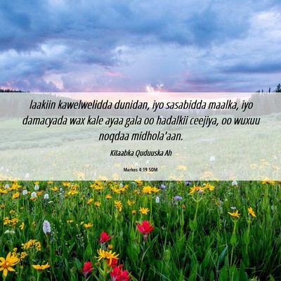 Picture 06 - Markos 4:19 SOM - laakiin kawelwelidda dunidan, iyo sasabidda - Bible Verse Picture