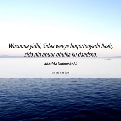 Picture 06 - Markos 4:26 SOM - Wuxuuna yidhi, Sidaa weeye boqortooyadii Ilaah, - Bible Verse Picture