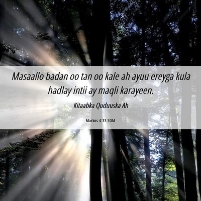 Picture 06 - Markos 4:33 SOM - Masaallo badan oo tan oo kale ah ayuu ereyga kula - Bible Verse Picture