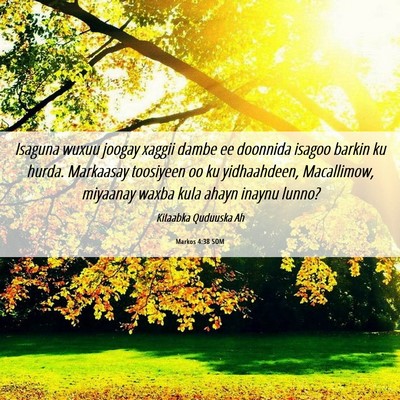 Picture 06 - Markos 4:38 SOM - Isaguna wuxuu joogay xaggii dambe ee doonnida - Bible Verse Picture