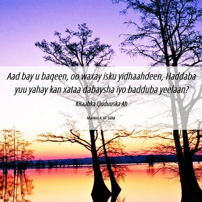 Picture 06 - Markos 4:41 SOM - Aad bay u baqeen, oo waxay isku yidhaahdeen, - Bible Verse Picture