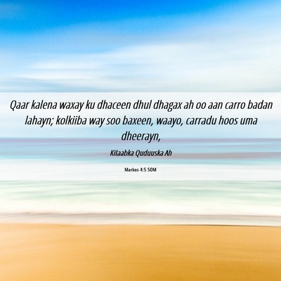 Picture 06 - Markos 4:5 SOM - Qaar kalena waxay ku dhaceen dhul dhagax ah oo - Bible Verse Picture