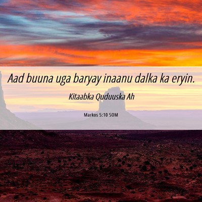 Picture 06 - Markos 5:10 SOM - Aad buuna uga baryay inaanu dalka ka - Bible Verse Picture