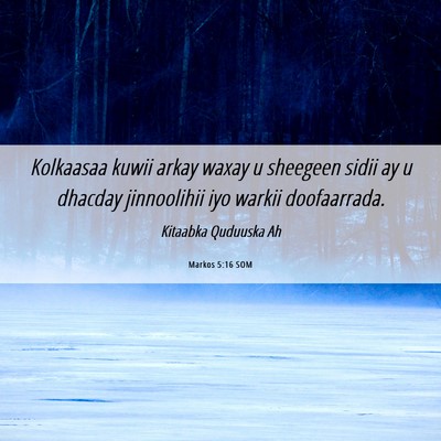 Picture 06 - Markos 5:16 SOM - Kolkaasaa kuwii arkay waxay u sheegeen sidii ay u - Bible Verse Picture