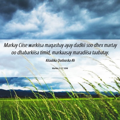 Picture 06 - Markos 5:27 SOM - Markay Ciise warkiisa maqashay ayay dadkii soo - Bible Verse Picture
